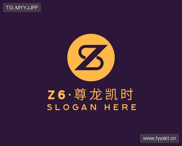 解读Z6·尊龙凯时